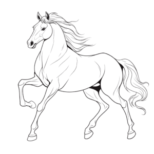 Dibujo de caballo árabe para colorear