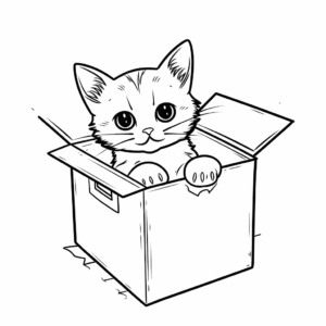 Dibujo de gato en una caja de cartón para colorear