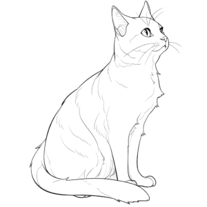 Dibujo de gato imprimible para colorear