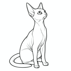 Dibujo de gato siamés sentado para colorear