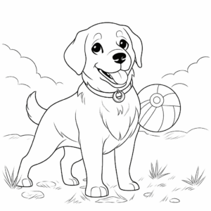 Dibujo de labrador con pelota para colorear