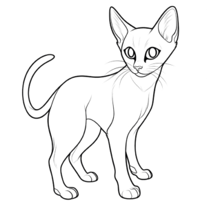 Dibujo de lindo gato siamés para colorear