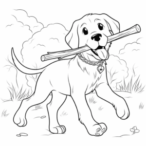 Dibujo de palo de búsqueda retriever para colorear