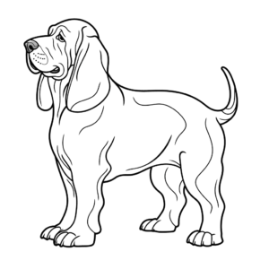 Dibujo de perro basset hound para colorear