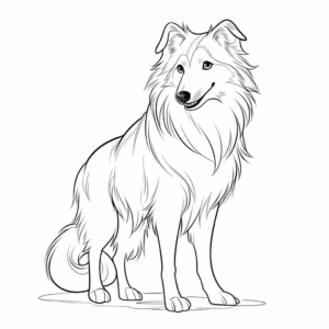 Dibujo de perro collie para colorear