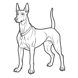 Dibujo de perro doberman pinscher para colorear