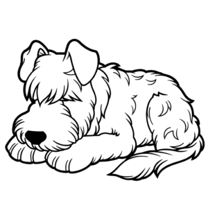 Dibujo de schnauzer dormilón para colorear