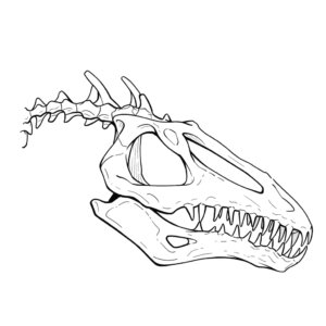 Dibujo de hueso de dinosaurio para colorear