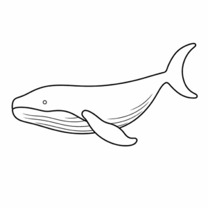 Dibujo de ballena jorobada para colorear