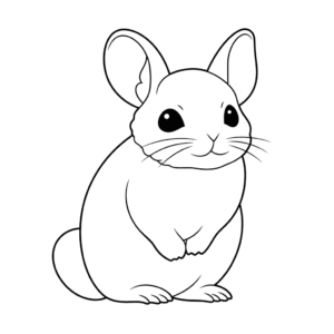 Dibujo de chinchilla para colorear