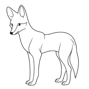 Dibujo de coyote para colorear