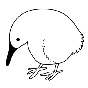 Dibujo de pájaro del kiwi para colorear