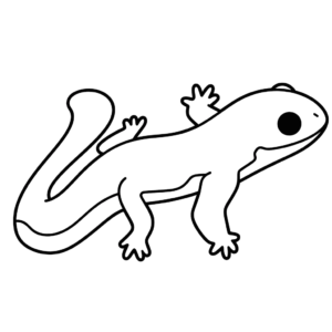 Dibujo de salamandra para colorear